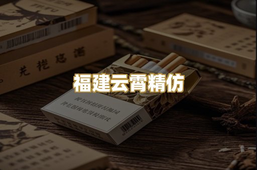 福建云霄精仿